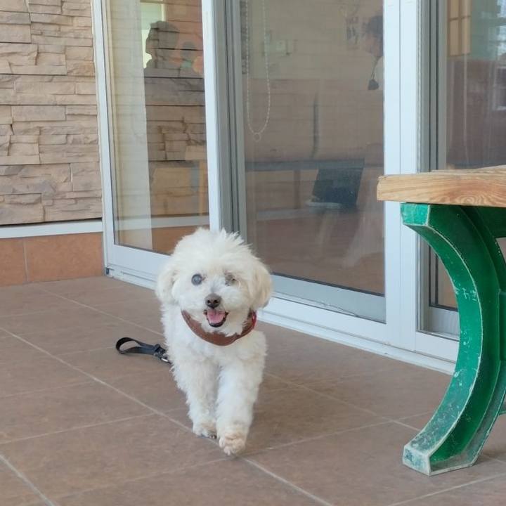 664051b5 4874 4c05 aa5b 3bfe1f7eaa9a 1714029148608