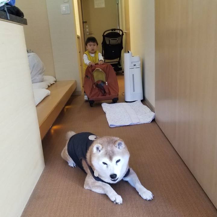 66408398 36eb 43f9 85c0 f346fd2fa2db 1731543338262