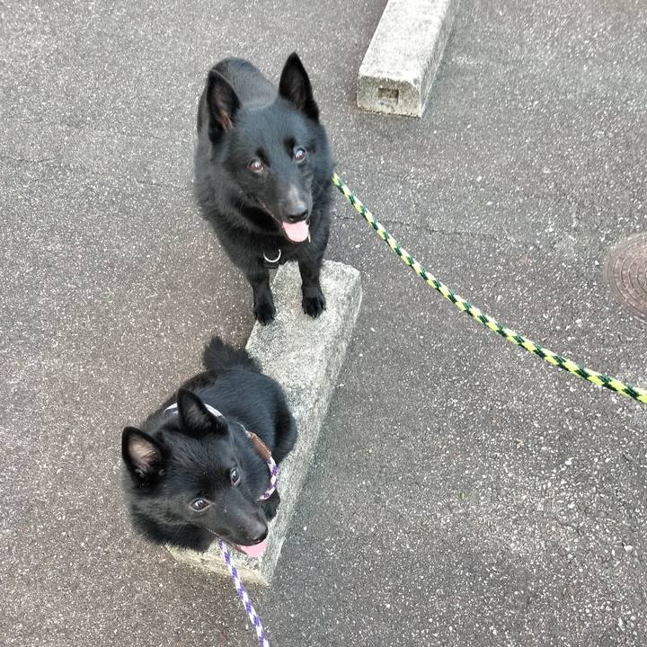 66409bb9 ec16 4284 a10c eb4d4ef4f1e8 1755553744494