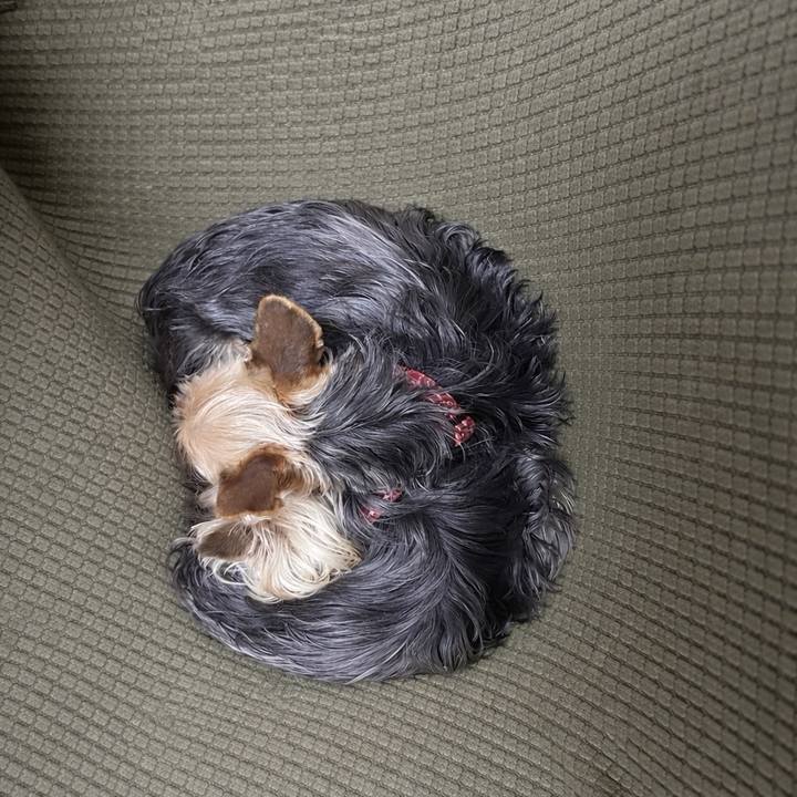 6640ac74 a177 410d a45d 6e68ce1e7509 1772258718619