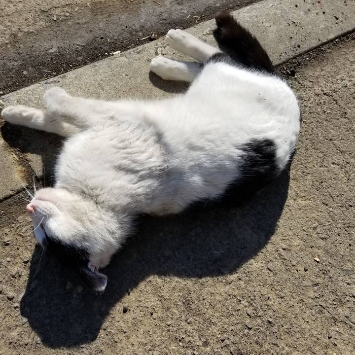 6640aed6 c4fc 4f10 adcb 8a0a27a55de3 1587083536846