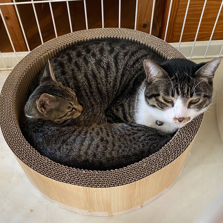 6640ba00 e9f4 4778 9942 936c3aded347 1725507395148