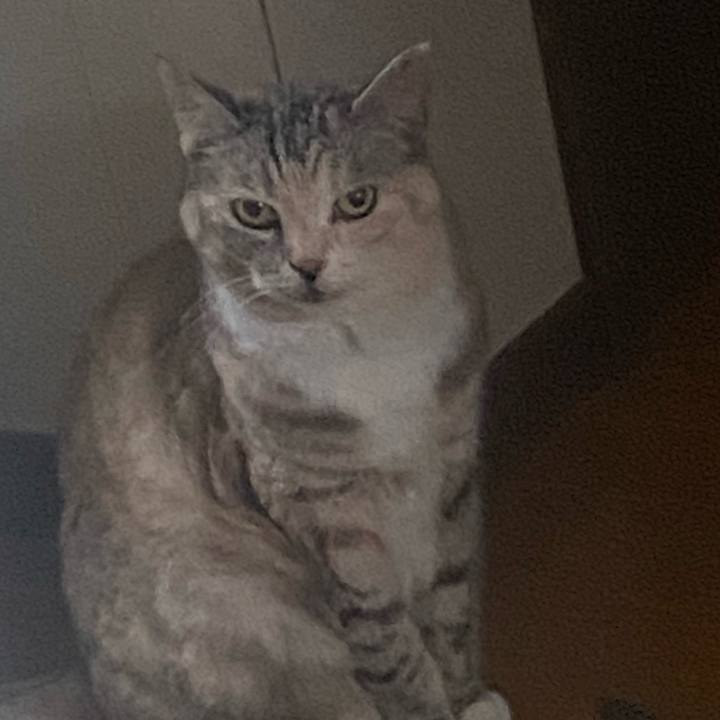 6640d8a5 5e12 45ea b1fd 35ab63014c1c 1718660583834