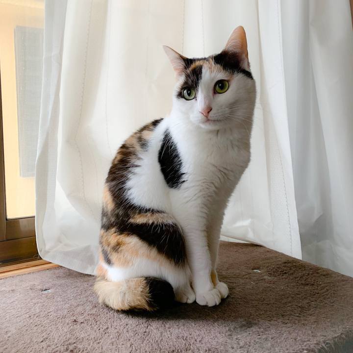 6640da32 8cab 4256 8674 c4953f4a63c2 1559785068855