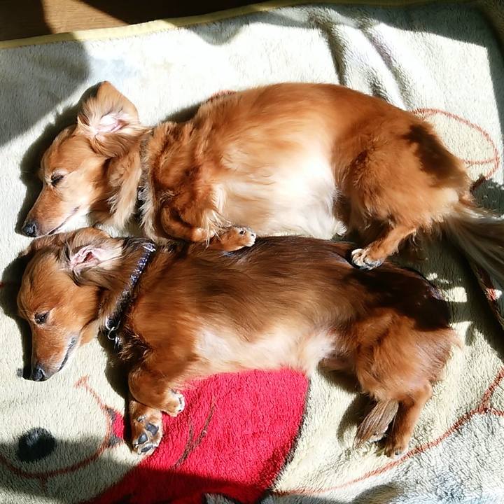 6640f4df d450 41fe 8653 c459bcae9ec1 1773059883426