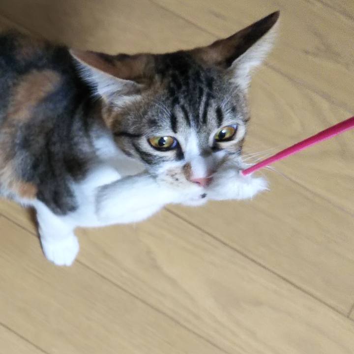 6640f620 b634 498a ada8 e7f4d0c820bb 1643781357790