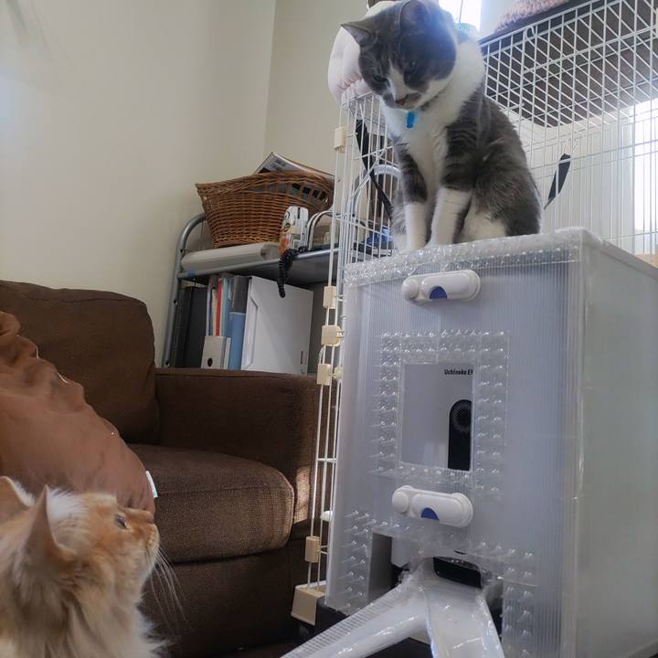 66411bff fa23 4d73 86cc 658787660e43 1676700905388