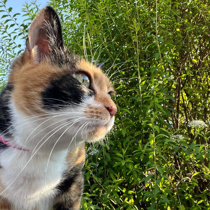 6641579b b22f 4aa8 8447 943fc0a86b2f 1662934890015