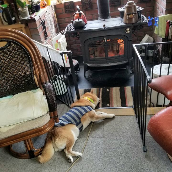 66416eee be17 47ee 93a4 22516325aac2 1671932044760