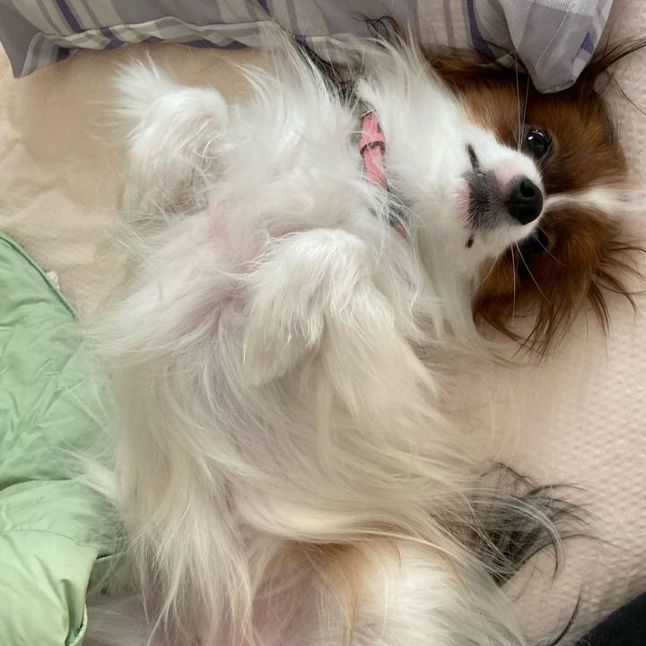 66417272 d117 499a 806f c43af789d235 1633740250768