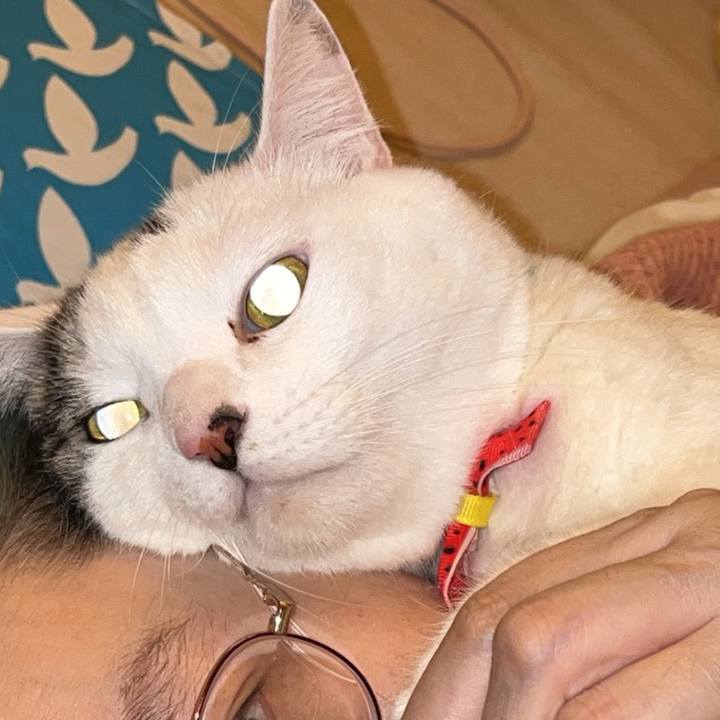 664174b2 442f 471e ac46 5178fdf70b0a 1762874686657