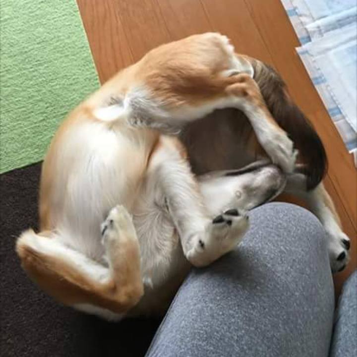 664175f8 ed26 484e 8188 959d96c29873 1532405603045