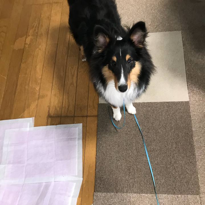 6641a54b 414d 4e88 b508 2b60121a6fd1 1523396851943