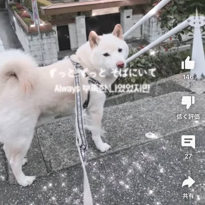 6641d760 e91e 49e5 963b efbef24b7853 1703424597995