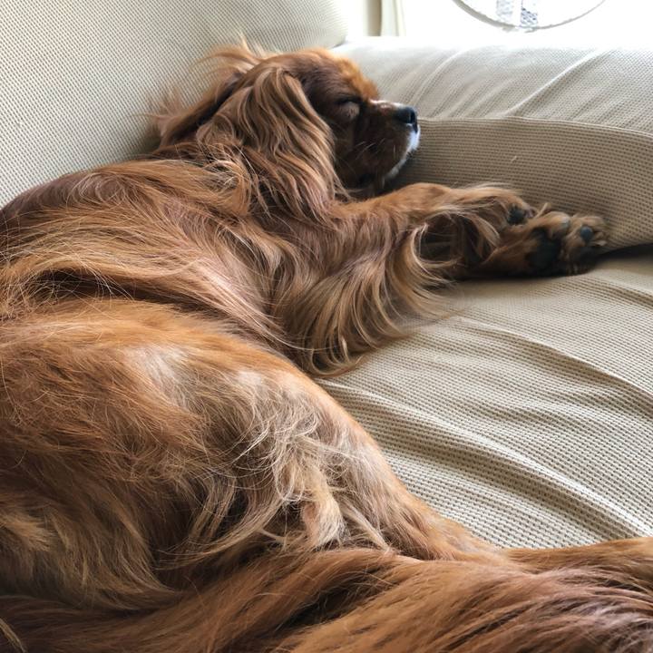 66427953 9af8 4e3b 9fdf 155473860074 1560052119221