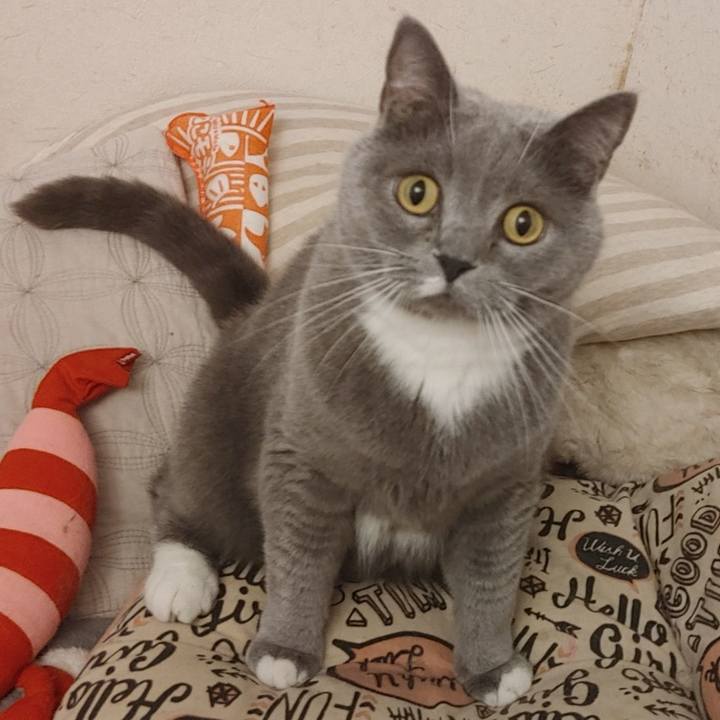 6642bf57 7f4e 46d0 89a0 198c106466a2 1621760152043