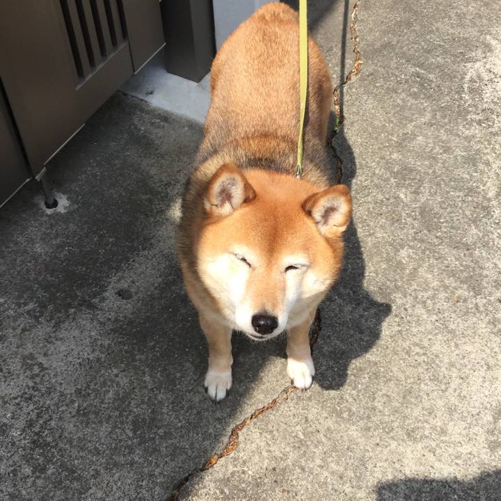 6642f831 0174 4493 8497 fb06bc1490bd 1587008848567