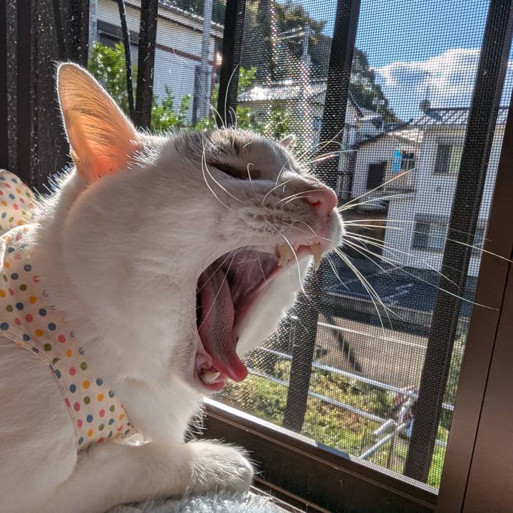 66436706 d66e 4503 8a1d 0f5880b111a7 1733229439198