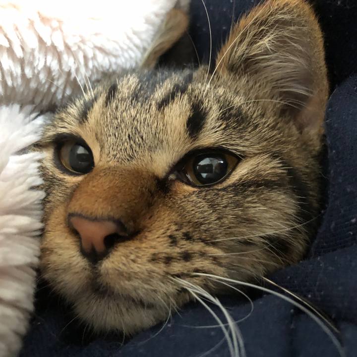 66438780 685f 4e96 b190 e00acdda192f 1735187166311