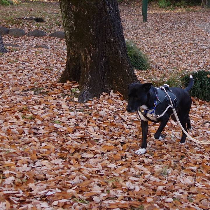 6643a7f9 a861 4202 9776 5568bc79df32 1639356505216