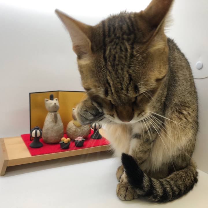 6643d814 f99d 4f14 b50d 9522104142b1 1613378318571