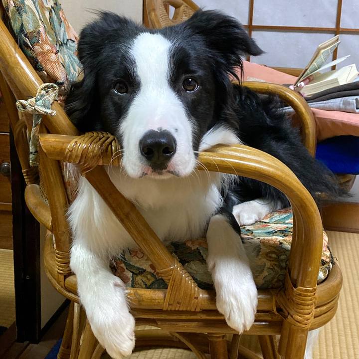 6643f2b5 9ffc 4c86 82ac 5b964653e32f 1768312015130