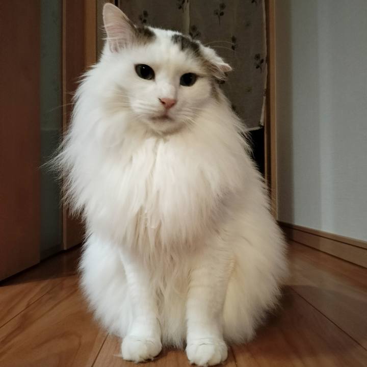 6643f382 84bb 4124 a0b6 b6775e87a6d7 1767843887317