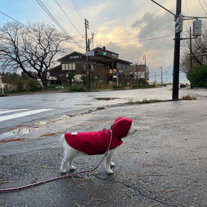 66440936 7ef1 4e64 86a3 3e33ad282863 1733438473702