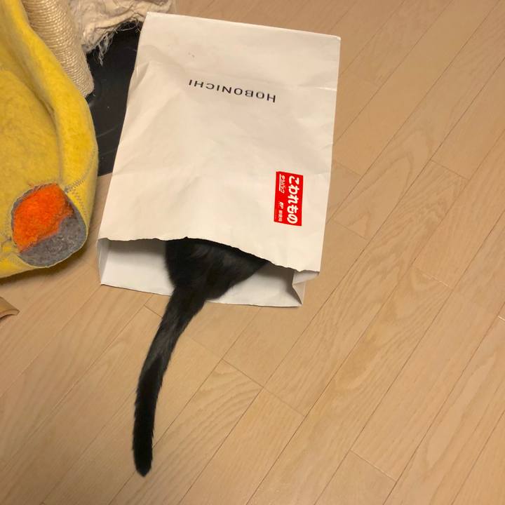 664431c6 05d9 470e 914d 5f31b70ddf8a 1536759874090