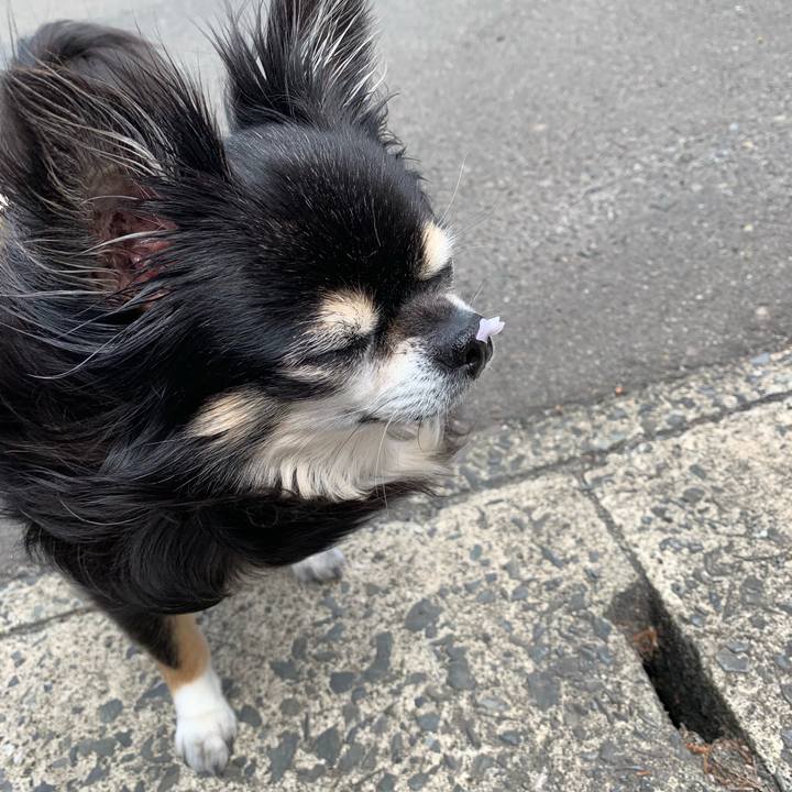 6644ba25 3511 49e7 af62 29251b6eb016 1556081812823