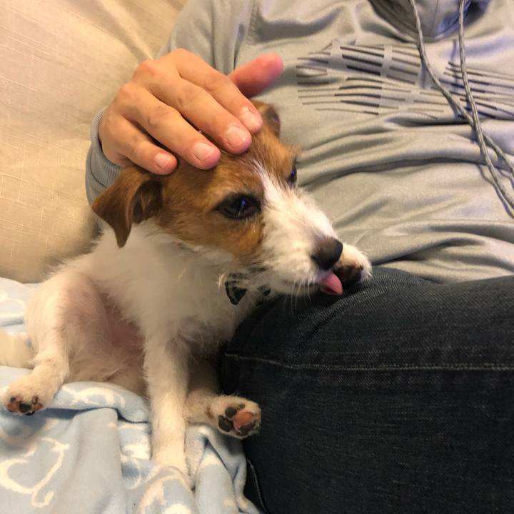 6644cea9 d8f3 40cb a502 b7e85a879e4f 1577808634769