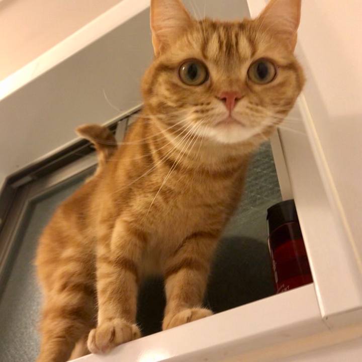 6644d869 b59f 41bf 8dab 63b8ab150eb0 1552479108216