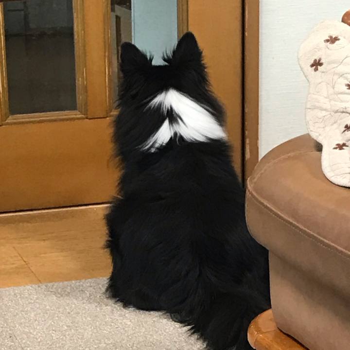 66450916 0528 47fe 8607 b9e0d17bea81 1545430917807