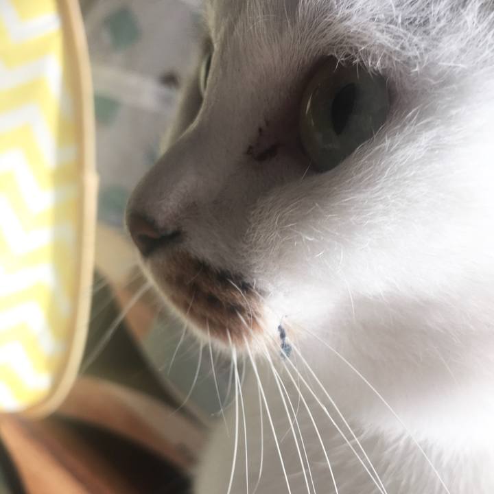 66452e78 15cd 407e b1df c6dbd4a42e94 1637285751170