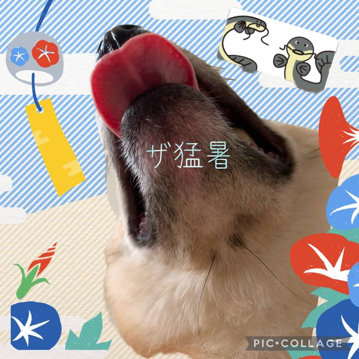 66454ddd 5d7c 464e b3ac 40135add738f 1628127505774