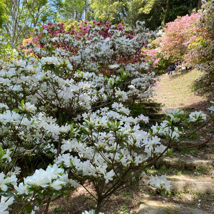 664558cf 9387 47af 9d3b 0d5d2c3ffe4a 1681718562846