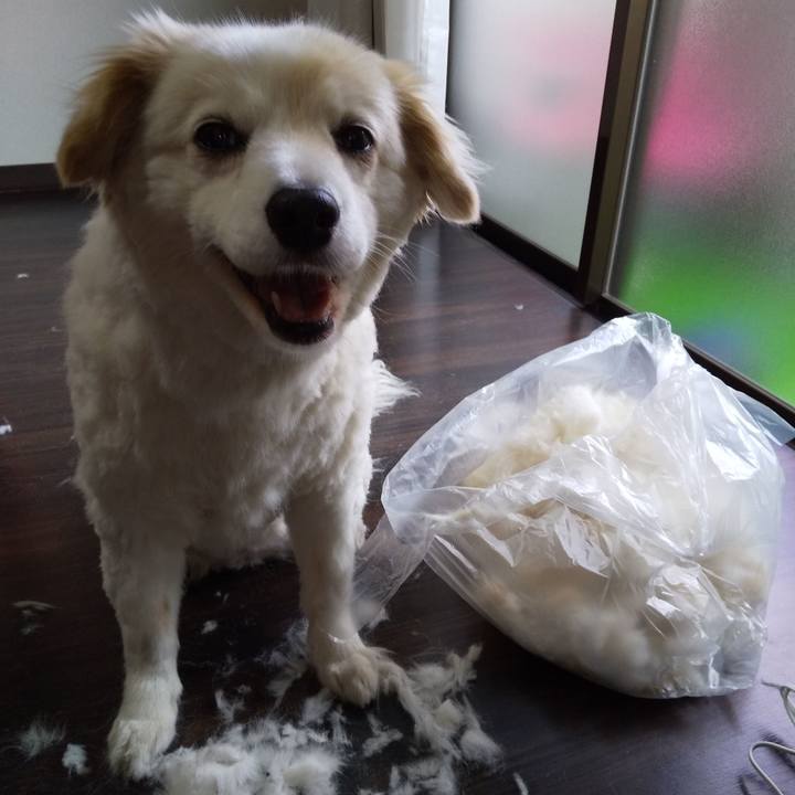 66457aff 5567 4b96 b494 c648ba57c96b 1588735789157