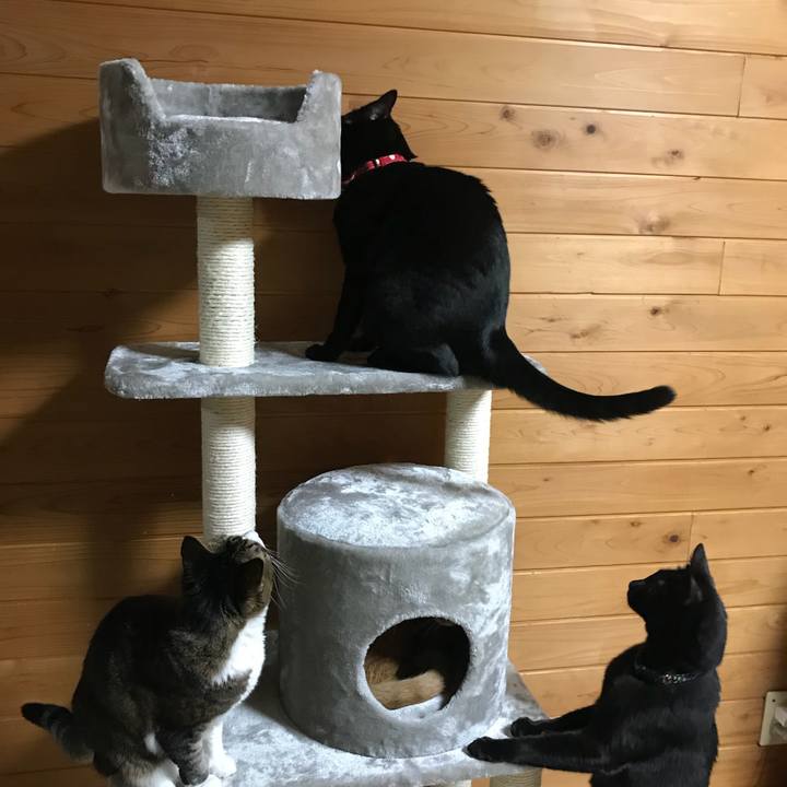 6645968f 2658 47b5 895d 37d22cb23842 1515934687246