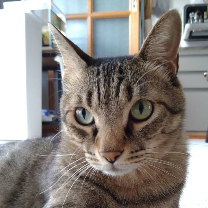 664596fd 4ad6 4bd9 aad9 f2bab23e6acf 1661562614744