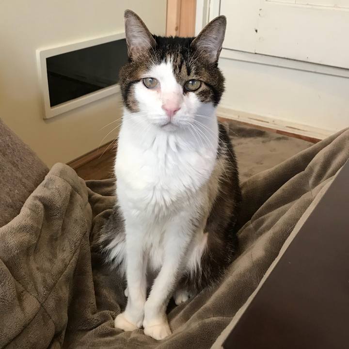 6645a403 221a 494b a8d8 54a442fea575 1511406526721