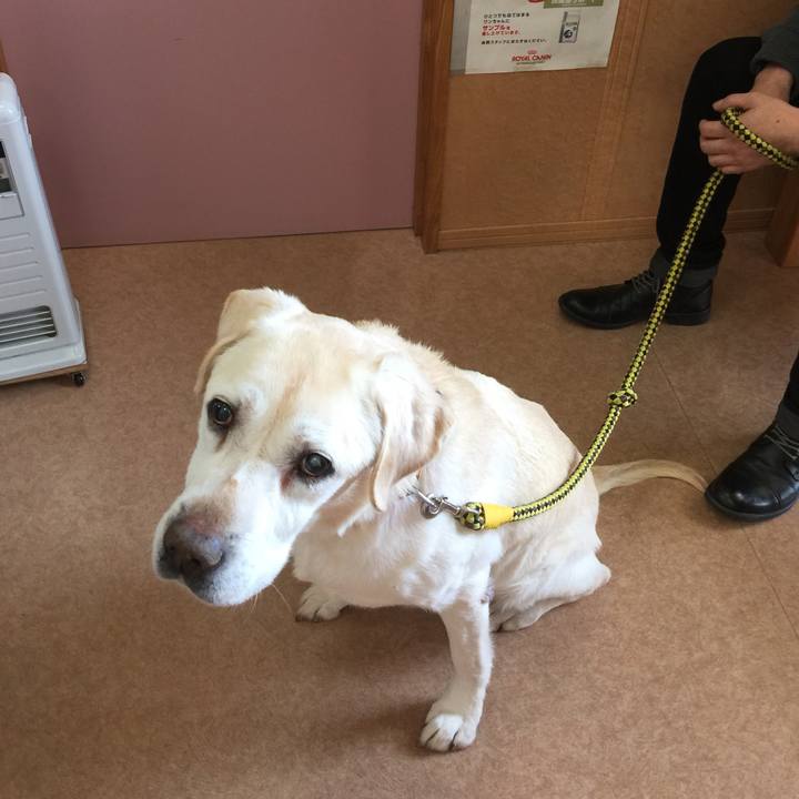 6645b7f2 8f5f 482e 9e85 429f19b3b8e7 1553591654633