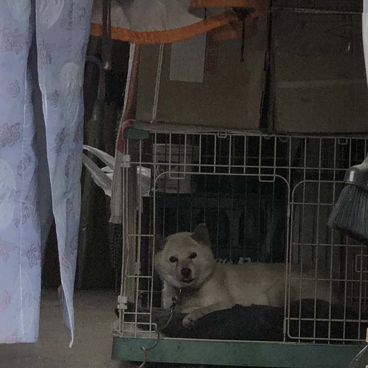 6645c20d 65a5 4a19 b06f 210c0ea60f1c 1563159837827