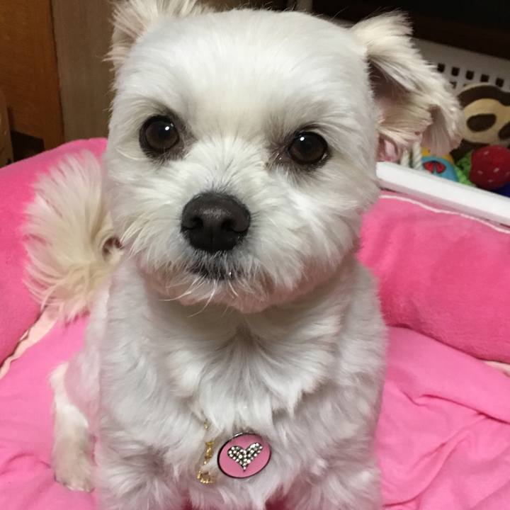 6645c584 d785 4ca0 bcfb 488d85d523e7 1517053018972