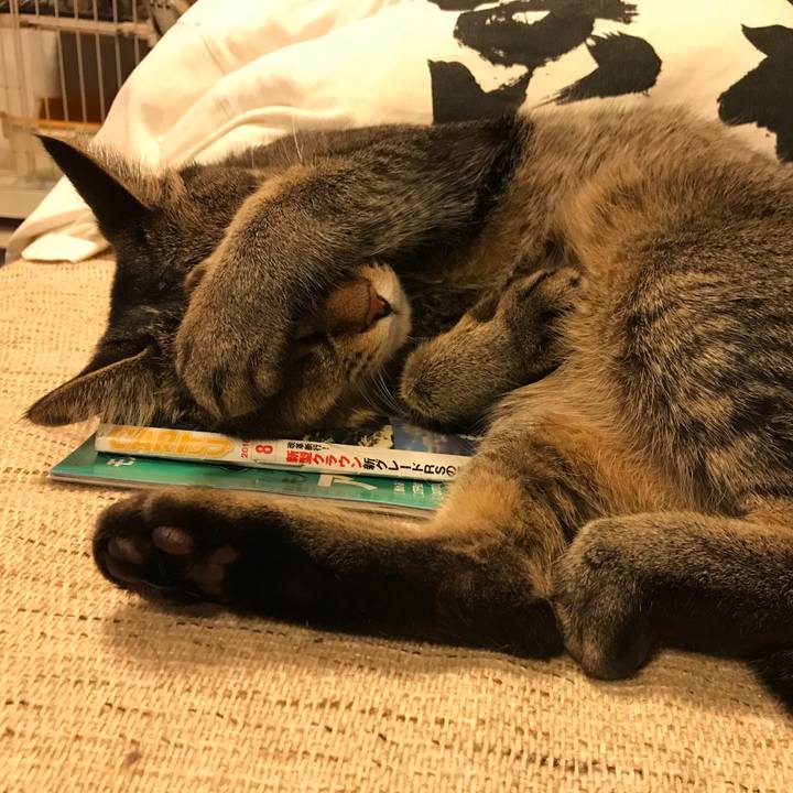 6645ed95 317e 4eba 931c 391b504843cf 1532710180201