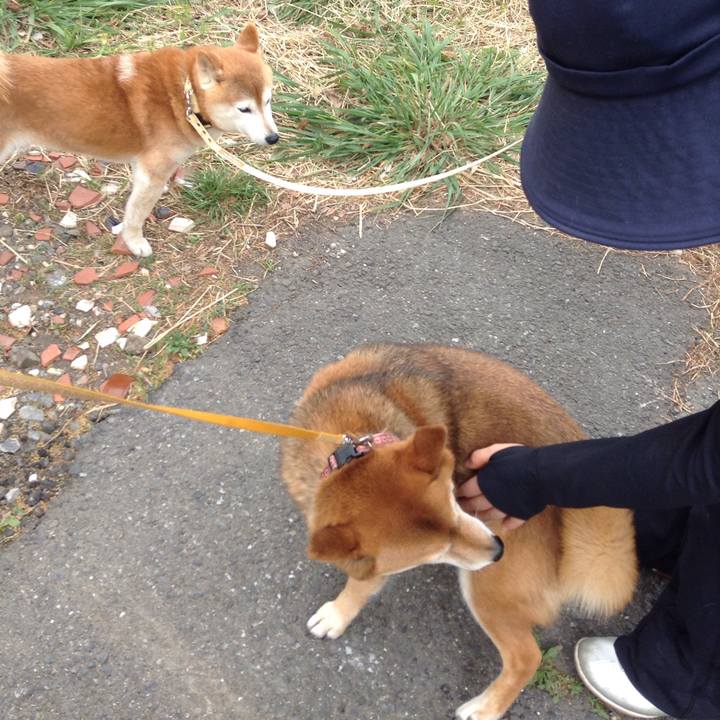 6645edf4 1a60 4e46 9125 f529f2b9b28a 1523675691089