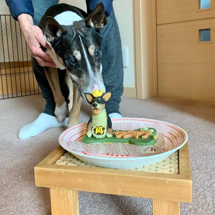 66464575 dd81 4fa9 90a1 5fe39ff45299 1611490229710