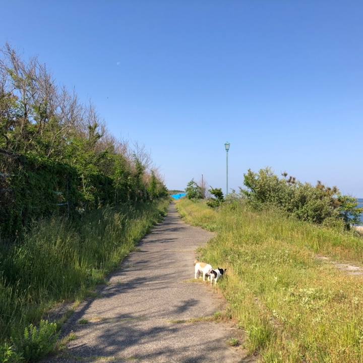 6646686e ba25 4501 9b86 c16643f05b15 1558745489530