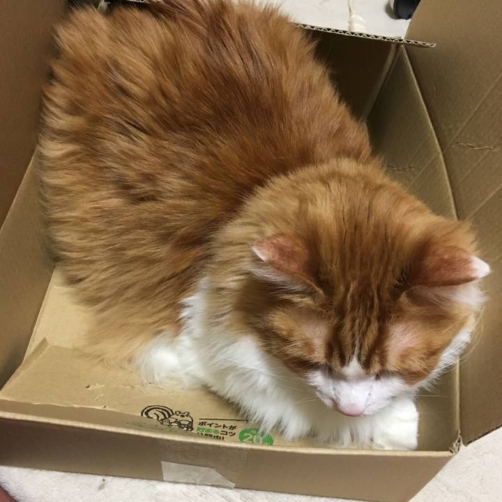 6646906a cbd4 46e5 9b29 d058ee6075b7 1518182722870