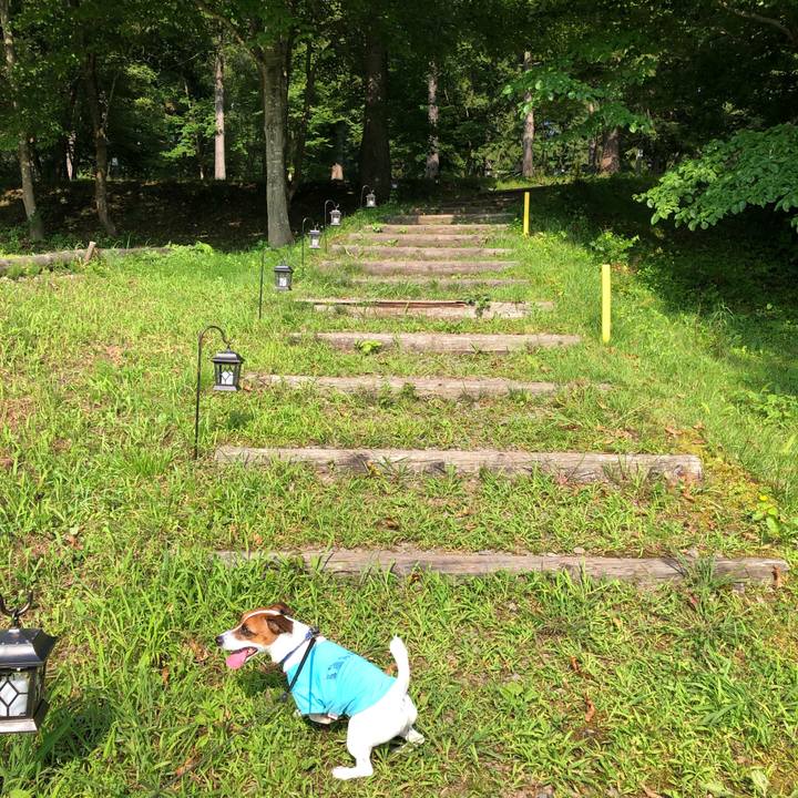 6646a188 f13c 421c 901e 2c5601dad78e 1596541010328