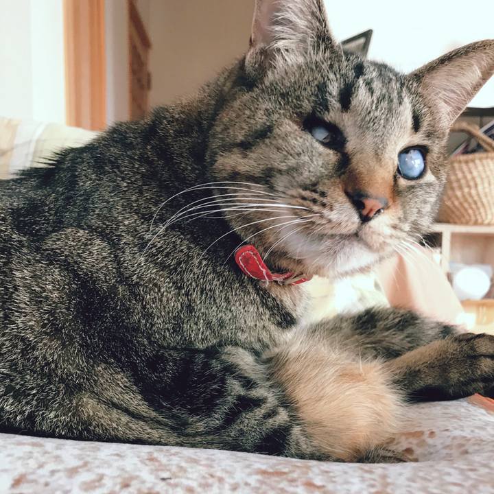 6646a722 b646 46be 9a9a 8c3afe21f1ef 1519454800602